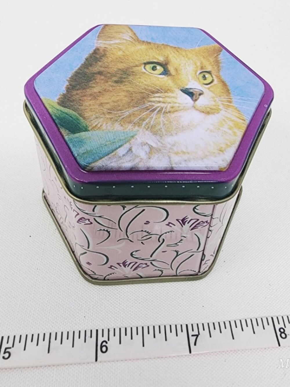 Vintage - Cat Tin Box Octagon Shape in Pink Tin